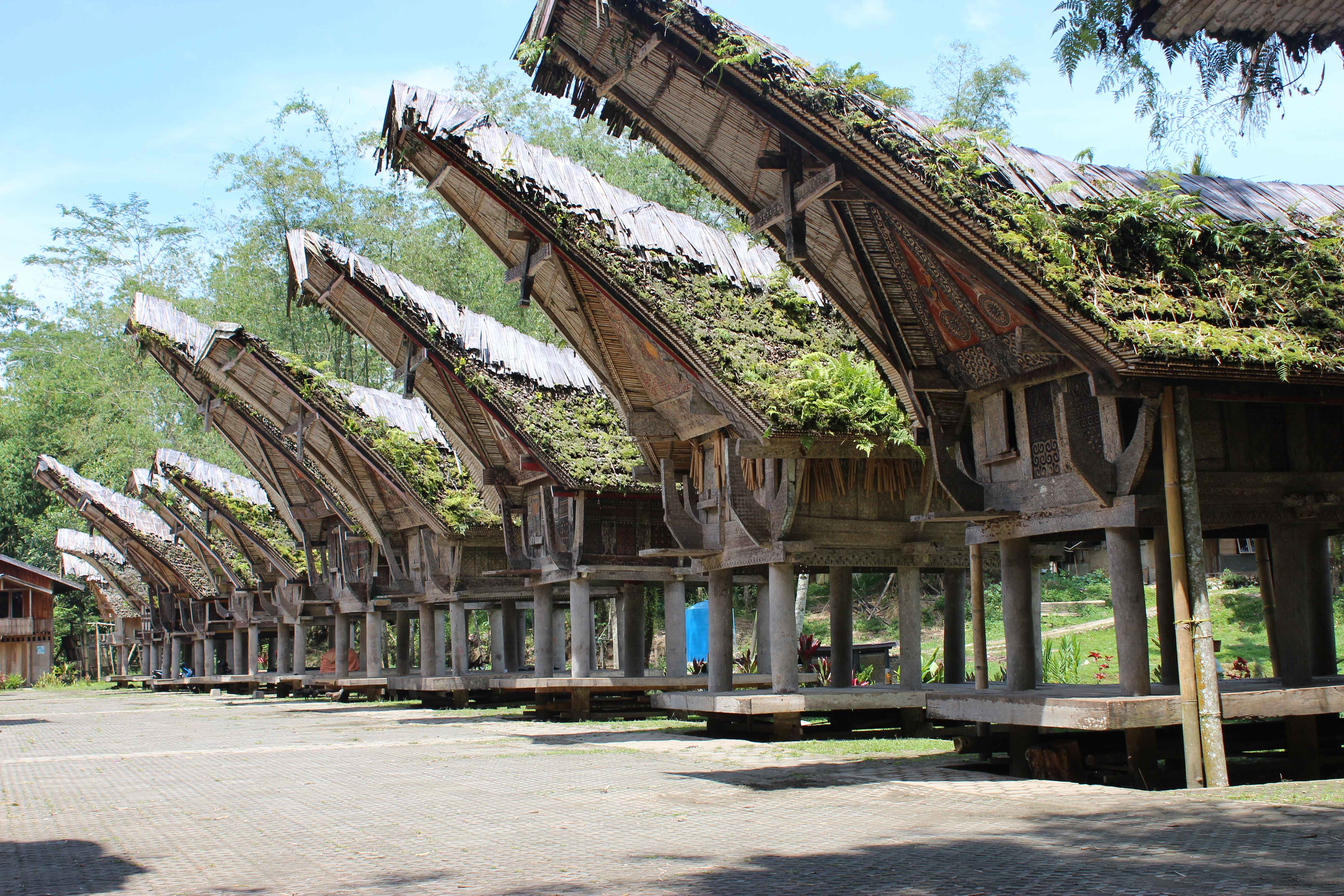 Sulawesi du Sud : Culture Toraja, nature tropicale et plages préservées