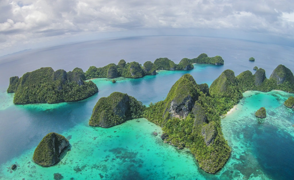 Raja Ampat : Le joyau ultime de la biodiversité marine