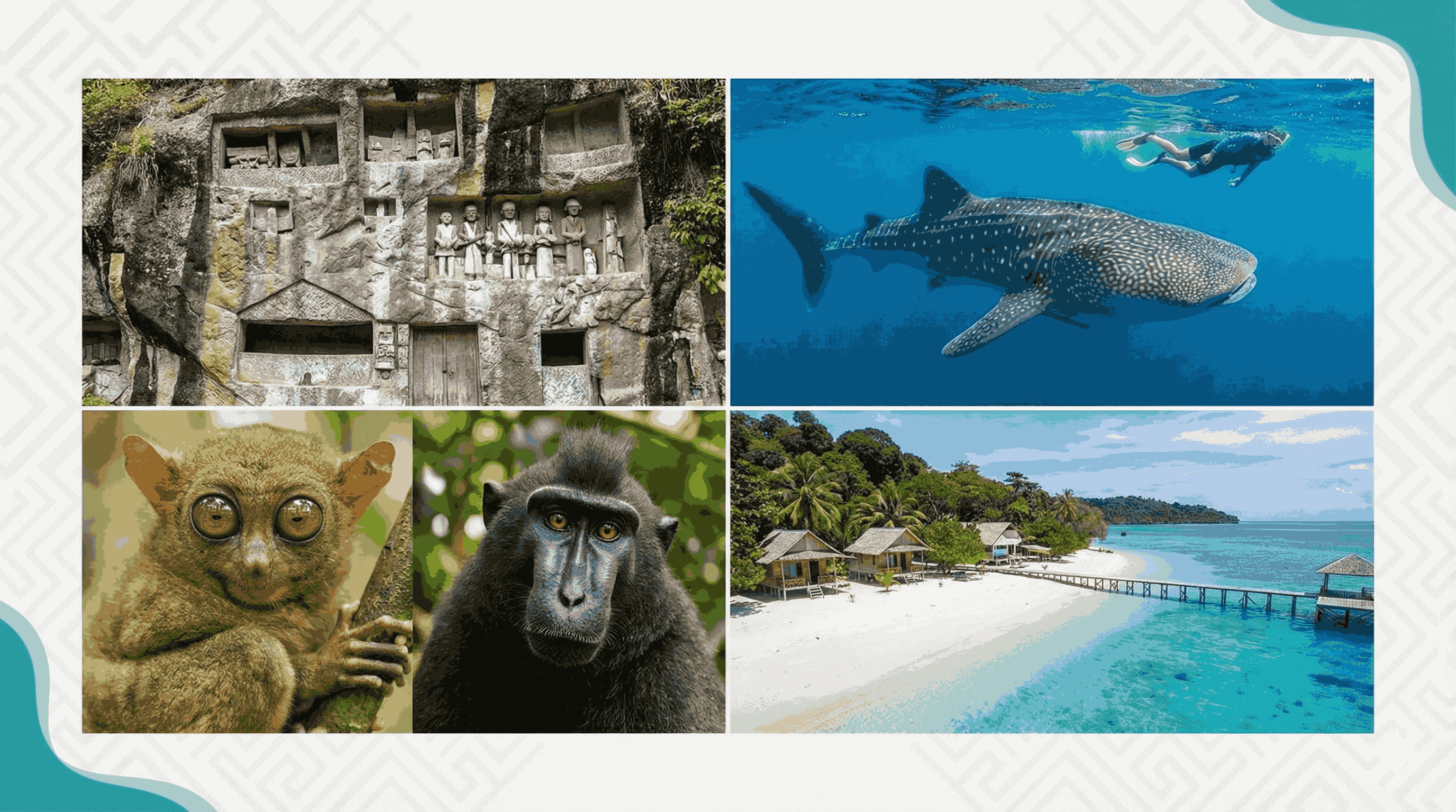 PROGRAMME DE 22 JOURS 21 NUITS CELEBES DU SUD, CELEBES  CENTRALE ET CELEBES DU NORD